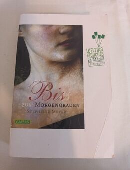 Biss zum Morgengrauen (Bella und Edward 1) von Stephenie Meyer - Essen