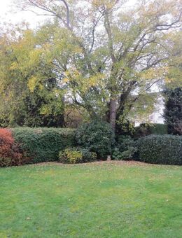 Verkauf eines großzügigen, freistehenden Einfamilienhauses in bevorzugter Ortslage von Rheinbreitbach - Bad Honnef