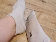 Schmutzige Socken - Bautzen