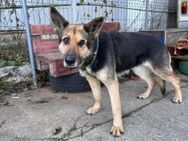 Jutta sucht ihr Glück - München