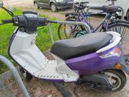 Roller Peugeot Vivacity 50ccm - Berghaupten