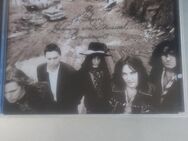 The Black Crowes - Bad Salzuflen