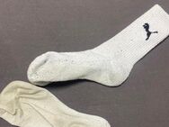 Getragene Socken und Sportsocken - Weilheim (Oberbayern) Zentrum