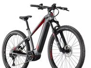 E-Bike MTB Conway Cairon VP 2100€ - Stralsund