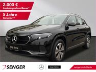 Mercedes EQA, 250 Progressive MBUX, Jahr 2023 - Bad Oeynhausen