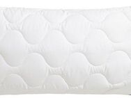 Beco Kopfkissen EcoWell, Füllung: Polyester, Bezug: Bio-Baumwolle oder Microfaser-Feinbatist samtweich, Rückenschläfer, Seitenschläfer, Kissen in den Größen 40x80 cm und 80x80 cm erhältlich!