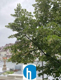 Hoher Wohnwert am Paradeplatz - Forchheim (Bayern)