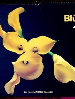 Großer Kunstkalender Blüten 2002 - Niederfischbach