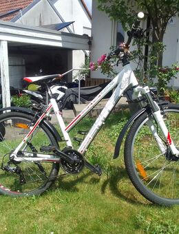 Jugendfahrrad, Mountenbike Bulls Sharptail, 26 zoll - Alzenau Wasserlos