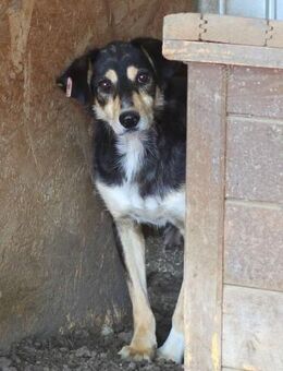 Marco möchte unsichtbar sein - Elsdorf (Nordrhein-Westfalen)