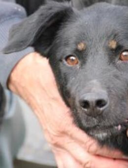 Canja - munter u. kinderlieb - Lohra