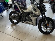 NEUE 125ccm Zontes Streetfighter BC 125 U 125er 15 PS ABS Naked - Obersulm