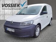 VW Caddy, 2.0 l TDI Cargo EcoProfi, Jahr 2024 - Schweinfurt