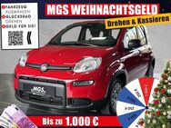 Fiat Panda, #PANDINA #, Jahr 2024 - Bayreuth