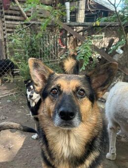 Die erwachsene Summer sucht ihren Hafen - Rambin
