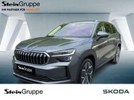 Skoda Kodiaq, 2.0 TDI Selection 4xSHZ, Jahr 2024 - Gummersbach