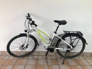 E-Bike - Flyer RS 7.30 - Pfaffenhofen