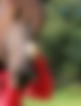 Nao*** - Berga (Elster)