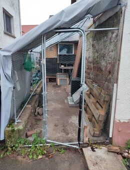 Käfig für Vögel, Hühnerstall, Voliere, 2x3m, erweiterbar - Waldbrunn (Baden-Württemberg)