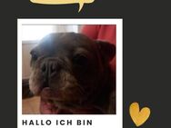 JASMIN PP Bestagerin sucht endlich Liebe - Neustadt (Rübenberge)