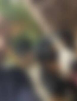 Eri*** - Stockstadt (Rhein)