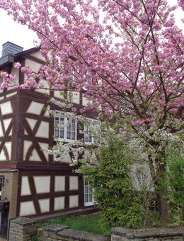 Fachwerkhaus in Rengsdorf - Rengsdorf