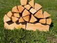 Premium Buche 33 cm ofenfertig & trocken Holz Kaminholz in 73111