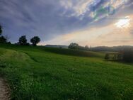 Zweifamilienhaus in ruhiger Lage mit großem Grundstück - Neetze