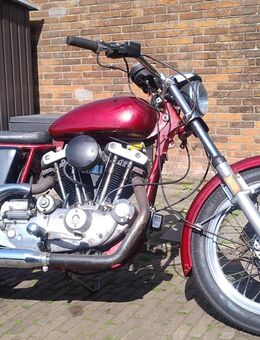 Harley Sportster xl1000 - Borkum