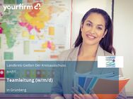 Teamleitung (w/m/d) - Grünberg
