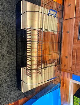 Hamsterkäfig mit Zubehör - Haßmersheim