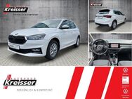 Skoda Fabia 1.0 TSI Ambition DSG/NAVI/AHK/LED - Ulm