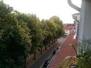 Mietwohnung in Greifswald - Greifswald