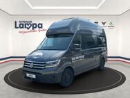 VW California Grand 600 2.0TDI Navi, ACC, LED, Hochbett - Lengerich (Niedersachsen)