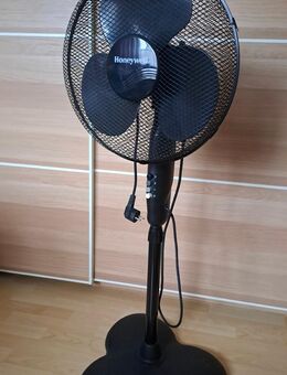 Standventilator - Horn-Bad Meinberg