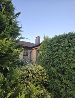 Idyllisches Einfamilienhaus in ruhiger Wohngegend von Wunstorf, nahe Hannover. - Wunstorf