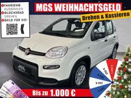 Fiat Panda, #WeiÃ # #MY24, Jahr 2024 - Bayreuth