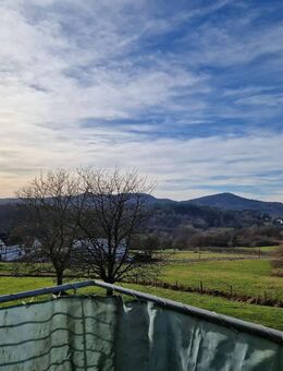 Unverbauter Ausblick auf das Siebengebirge! - Königswinter