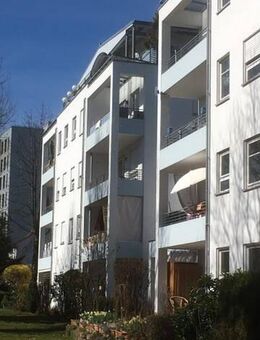 2-Zi.-ETW in Friedrichshafen - Friedrichshafen