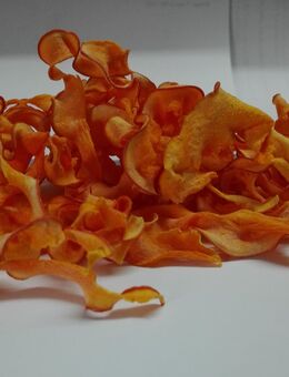 Hokkaido-Chips, Fisch und Garnelenfutter - Hohenroth
