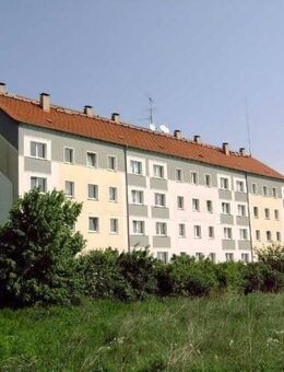 Wohnen auf dem Lande - Gramzow