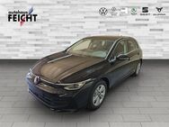 VW Golf, 1.5 l TSI Life, Jahr 2022 - Haar