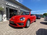 VW Beetle The Cabriolet 2.0 TDI DSG Blue Motion Techn Club - Rastede