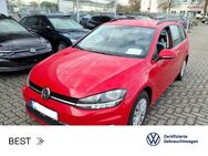 VW Golf Variant, 2.0 TDI Comfortline, Jahr 2019 - Mühlheim (Main)