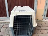 Hundebox AniOne - Framersheim