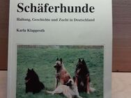 Belgische Schäferhunde - Karla Klapproth - Schiltach