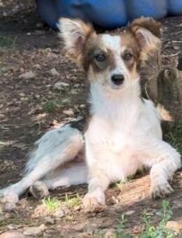 Liane möchte noch viel lernen - Schwabach