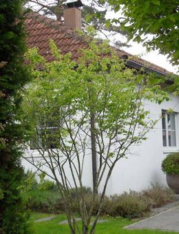 Einfamilienhaus aus der Zwangsversteigerung ! - Bad Boll