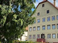 KULTURDENKMAL IM HERZEN VON WIDDERN: Großes Wohnhaus mit Scheune - Widdern