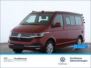 VW T6 California, 1 Ocean TDI, Jahr 2024 - Wildau